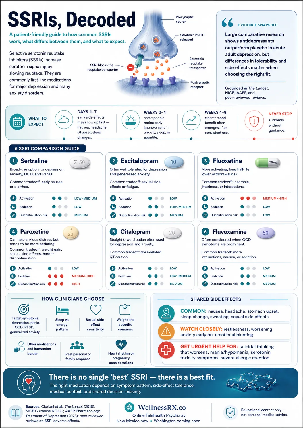 SSRIs decoded, a patient-friendly guide to how common SSRIs work